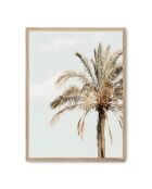 Palme e cielo dipinto - 50x70 cm