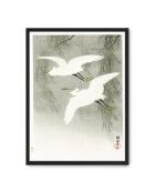 Dipinto raffigurante il volo dell'airone bianco - 50x70 cm