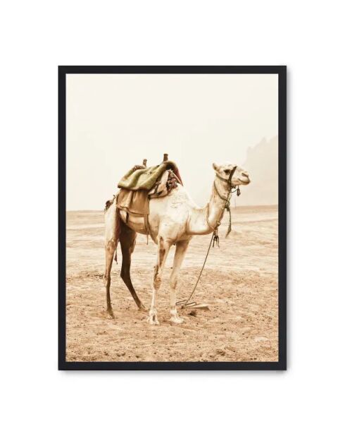 Viaggio in cammello per pittura - 50x70 cm