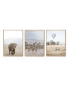 Set bestaande uit drie frames met Marco Roble - 50x70 cm