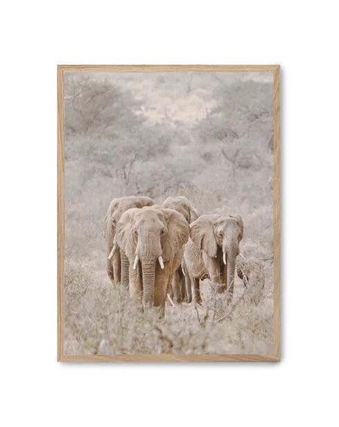 Dipinto di un branco di elefanti I -50x70 cm