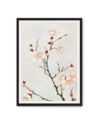 Peinture de la beauté épanouie - 50x70 cm