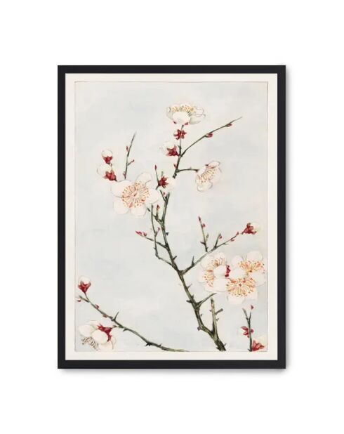 Peinture de la beauté épanouie - 50x70 cm