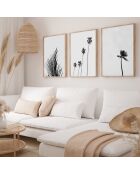 Set composto da tre cornici con Marco Roble - 50x70 cm