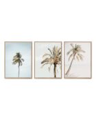 Set composto da tre cornici con Marco Roble - 50x70 cm