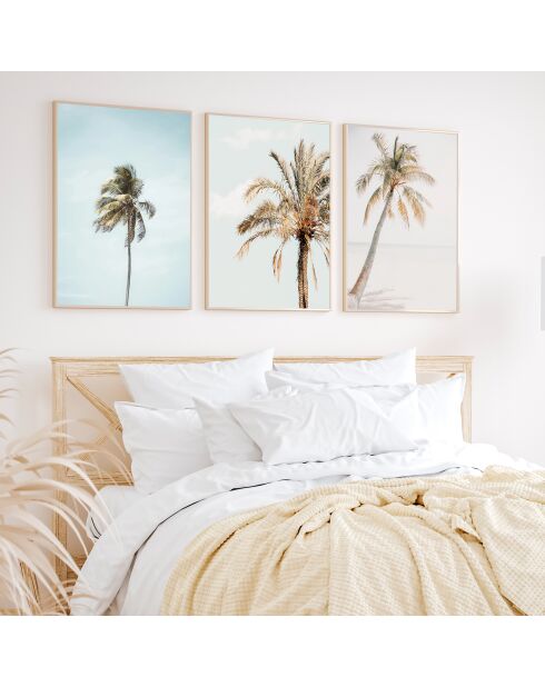 Set composto da tre cornici con Marco Roble - 50x70 cm