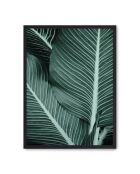 Fogli per pittura II - 50x70 cm