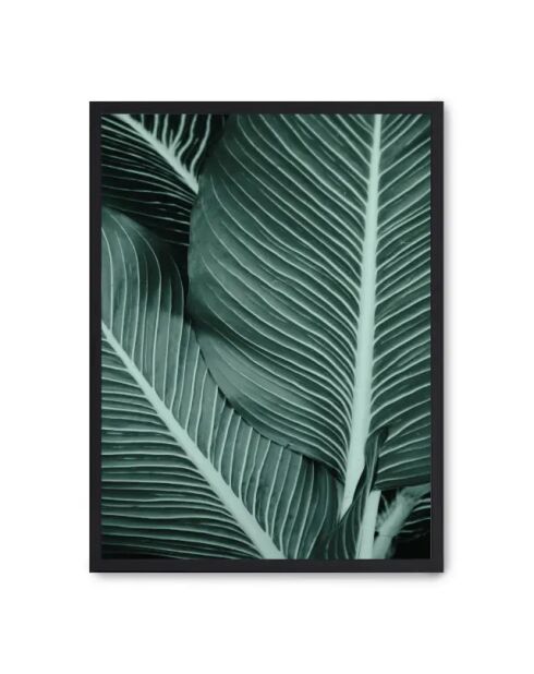 Fogli per pittura II - 50x70 cm