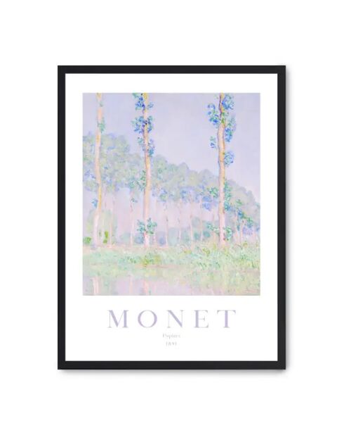 Pittura su pioppo, 1891 - 50x70 cm