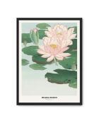 Peinture de nénuphar - 50x70 cm