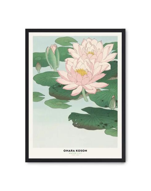 Peinture de nénuphar - 50x70 cm