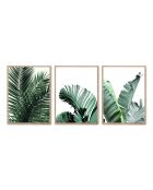 Set composto da tre cornici con Marco Roble - 50x70 cm