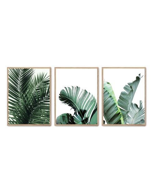 Set composto da tre cornici con Marco Roble - 50x70 cm