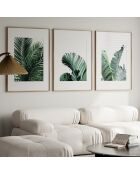 Set composto da tre cornici con Marco Roble - 50x70 cm