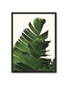 Dipinto foglie di banano - 50x70 cm