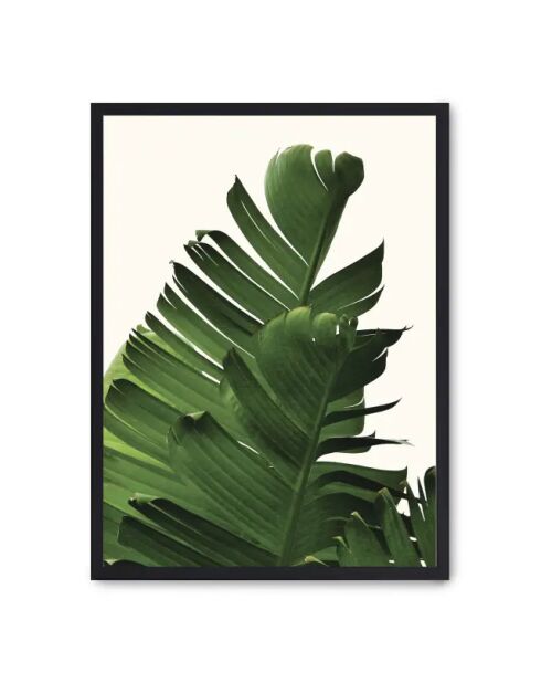 Dipinto foglie di banano - 50x70 cm