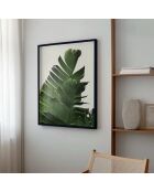 Dipinto foglie di banano - 50x70 cm