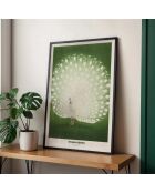 Peinture de la beauté du paon blanc - 50x70 cm