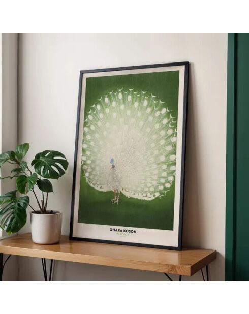 Peinture de la beauté du paon blanc - 50x70 cm