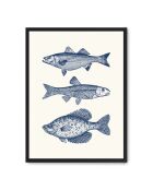 Peinture de poissons vintage - 50x70 cm