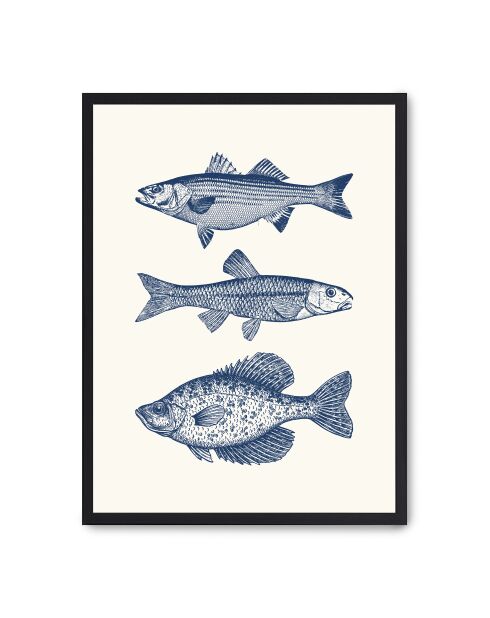 Peinture de poissons vintage - 50x70 cm