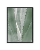 Vernice all'aloe vera - 50x70 cm