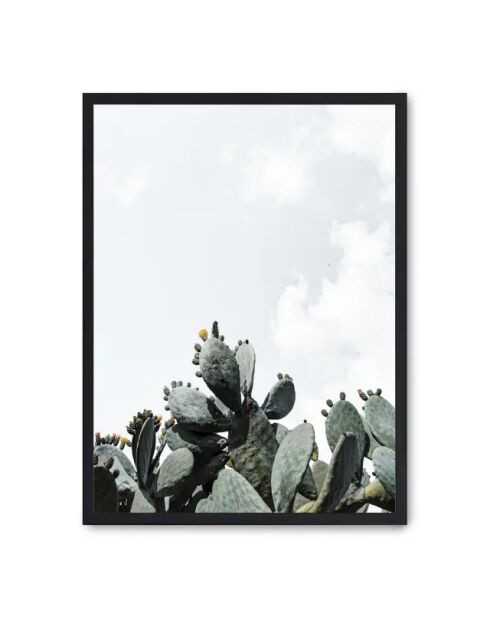 Cactus dipinto - 50x70 cm