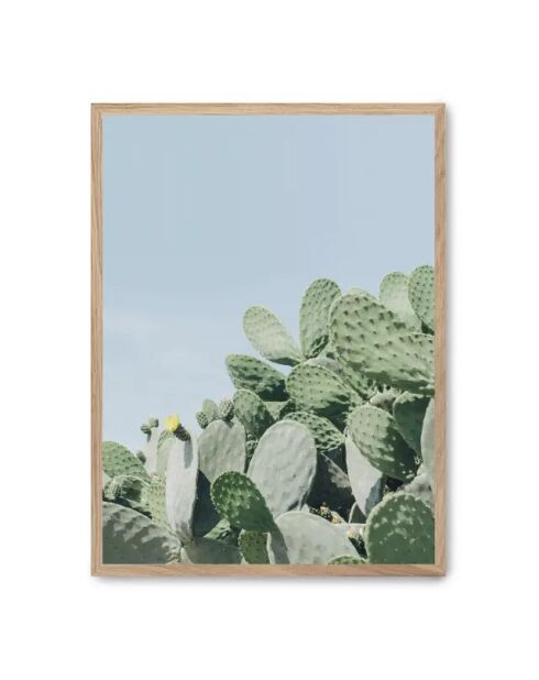 Dipinto di un'oasi verde - 50x70 cm