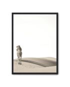 Kamelmalerei X - 50x70 cm