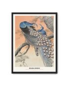 Peinture d'une famille de paons - 50x70 cm