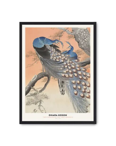 Peinture d'une famille de paons - 50x70 cm