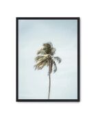 Peinture Palm Beach - 50x70 cm