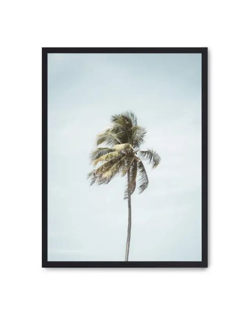 Peinture Palm Beach - 50x70 cm