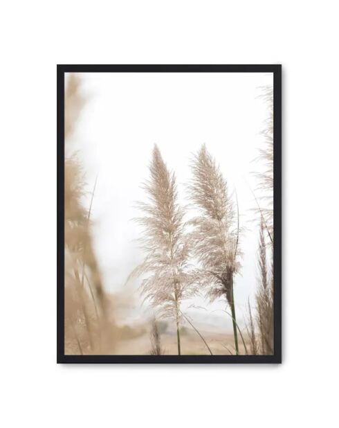 Peinture pampas III - 50x70 cm