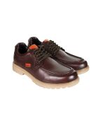 Derbies Panori en cuir marron