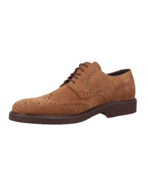 Oxford Sernol en cuir marron