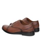 Oxford Vanifen in pelle marrone