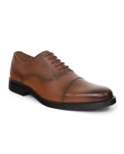 Oxford Vanifen in pelle marrone
