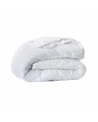 Packung Magal Matratze 25 cm, Bettgestell 140 x 190 cm, 2 Kissen 60 x 40 cm, Bettdecke 200 x 200 cm — 140 x 190 cm