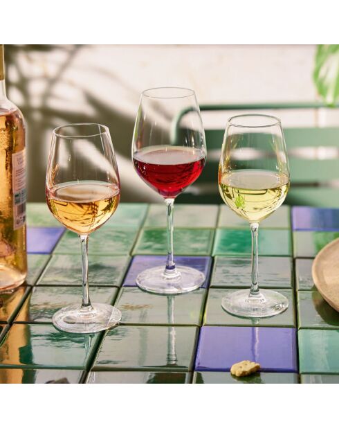 6 glazen met Menades-steel - 36 cl