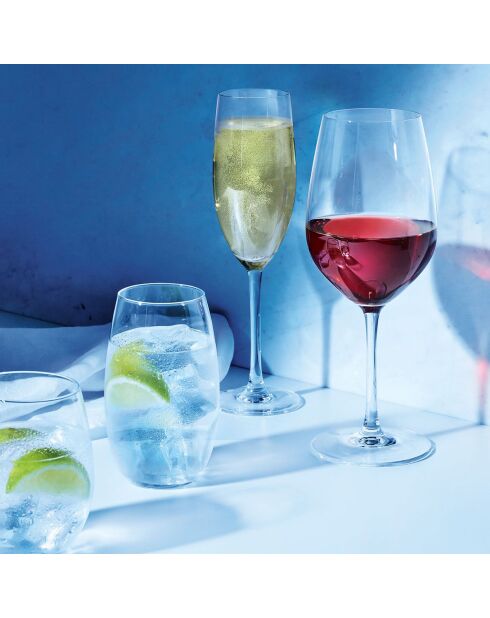 6 champagnefluiten - 24 cl