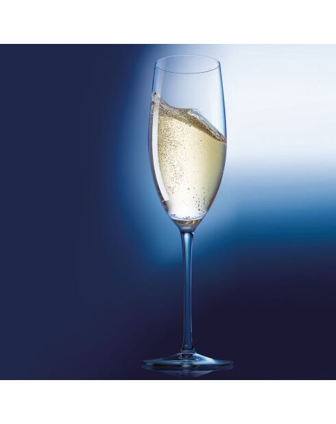 6 champagnefluiten - 24 cl