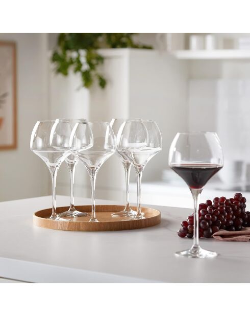 6 Exaltation transparante steelglazen - 55 cl