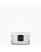 Holzkerze Alchemy Primula und Bernstein - 420 g