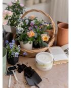 Vela Botánica Morning Dew, 600 g