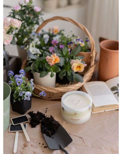 Vela Botánica Morning Dew, 600 g