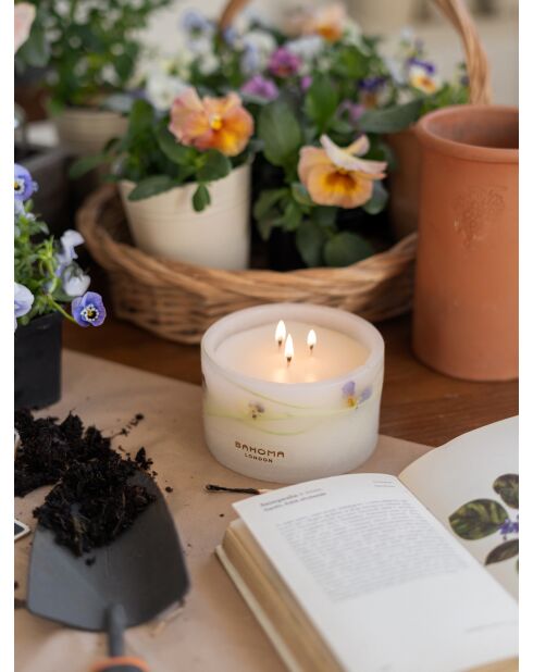 Vela Botánica Morning Dew, 600 g