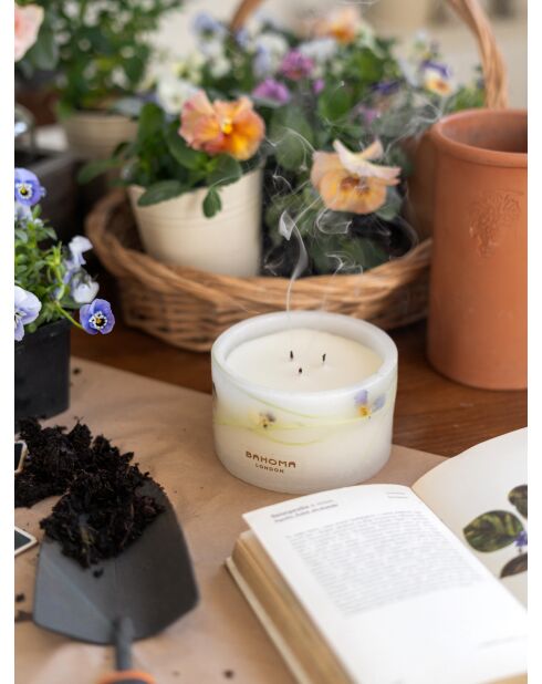 Vela Botánica Morning Dew, 600 g