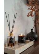 Obsidian Soul of India, candela grande, 220 g