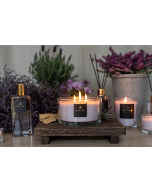 Alchemy Raumspray Wildes Heidekraut und Eiche - 100 ml